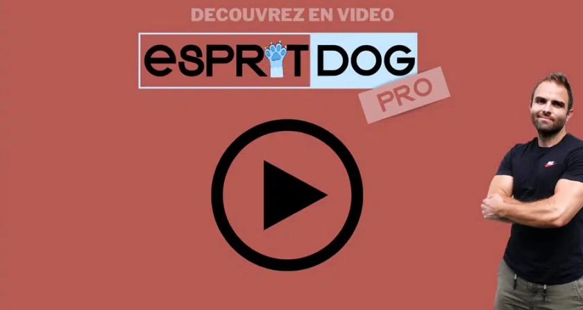 Esprit Dog Pro en ligne