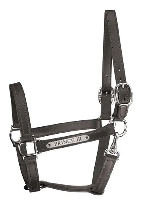 Perri’s® Track Style Leather Turnout Halter with Snap Throat and Nameplate | Dover Saddlery
