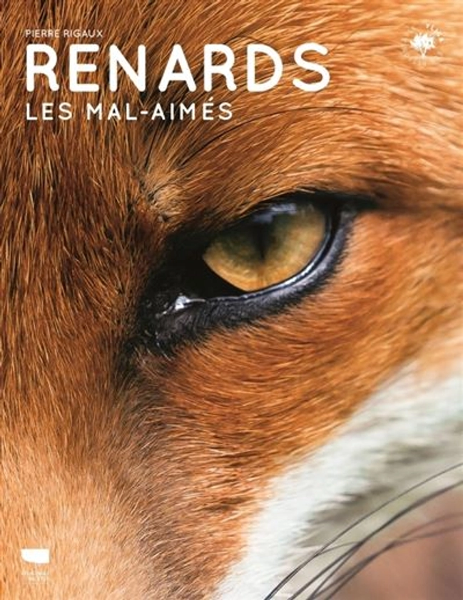 Renards : Les mal-aimés