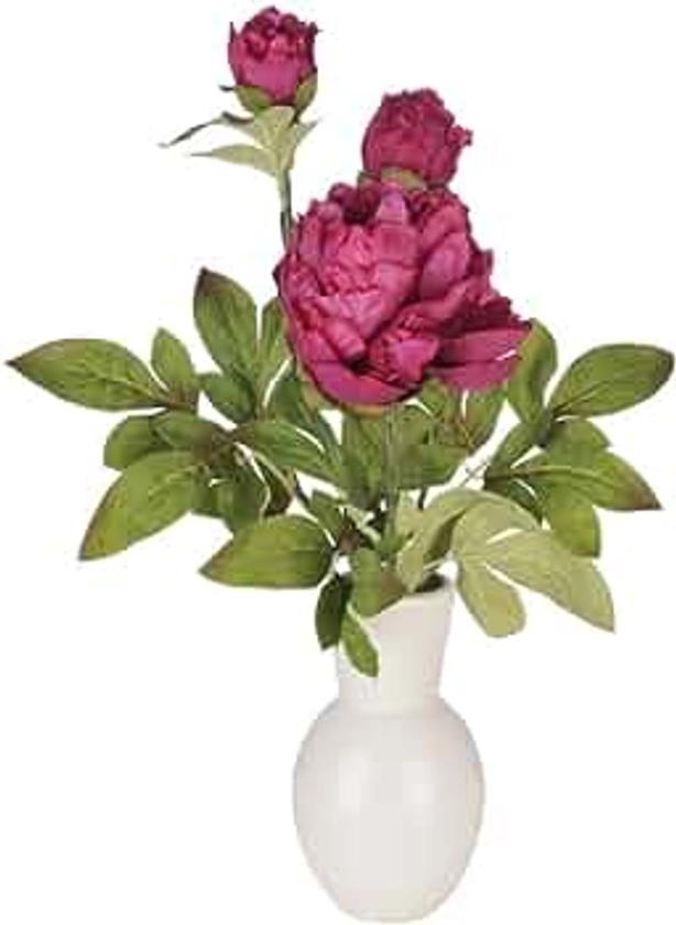 Fuchsia Peony in White Ceramic Vase Pink