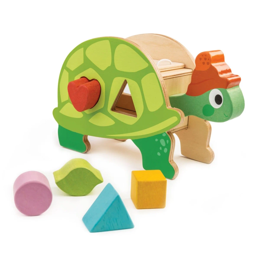 Tortoise Shape Sorter