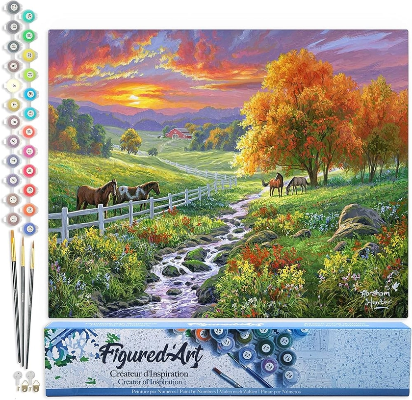 Figured'Art Peinture par Numéro Adulte Prairie ensoleillée - Activité Manuelle Kit de Loisir Créatif DIY Numéro d'Art Complet - 40x50cm sans châssis en bois : Amazon.fr: Jeux et Jouets