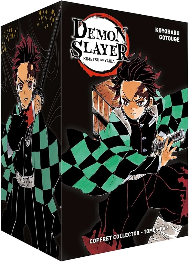 Coffret Demon Slayer T01 à T06