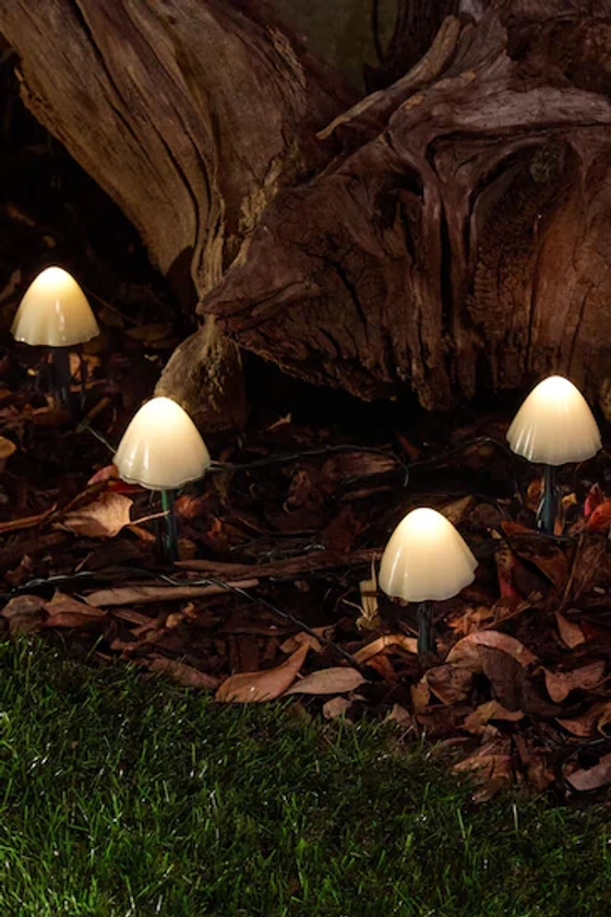 Buy SolarCentre Set of 12 Clear Forest Solar Mushroom Lights from the Next UK online shop