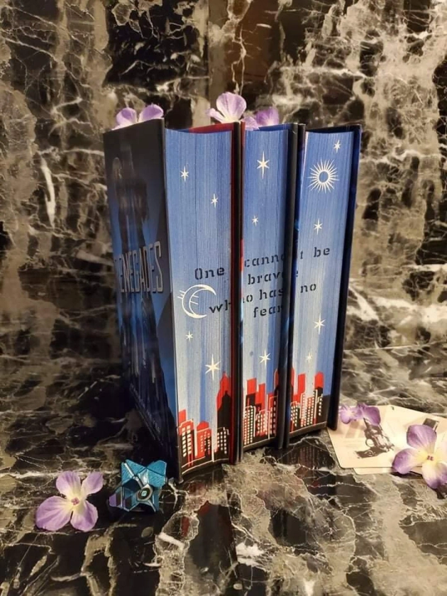 The Renegades Trilogy With Stenciled Edges - Etsy