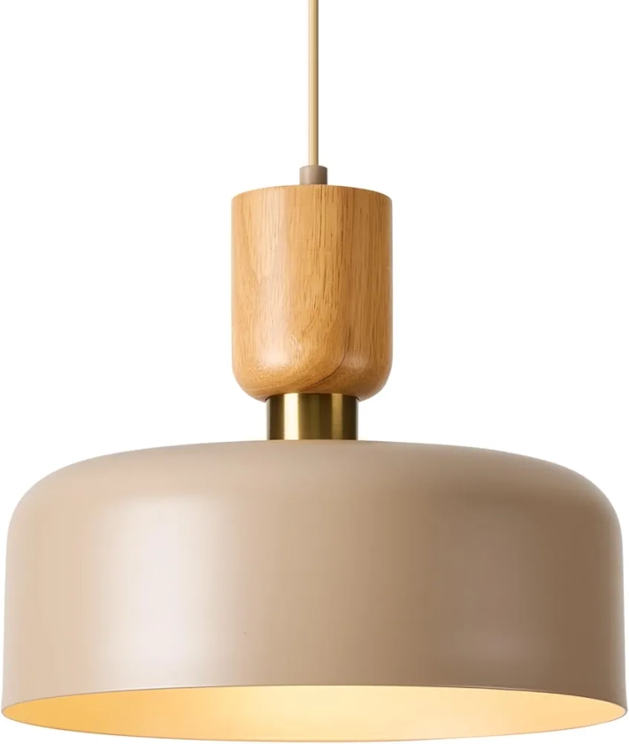 TeHenoo Modern Pendant Lights with Natural Wood Cap, Brass Accent, 12 inch Brown Metal Shade,for Kitchen, Dining Room, Cafe