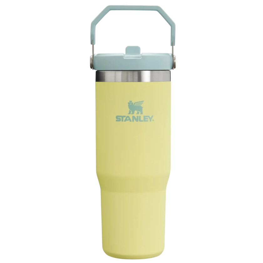 The IceFlow Flip Straw Tumbler | 30 OZ | Insulated Water | Stanley