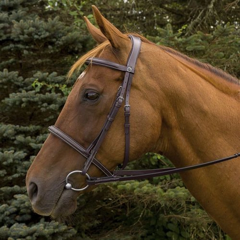 Henri de Rivel Pro Mono Crown Fancy-Stitched Padded Bridle with Laced Reins