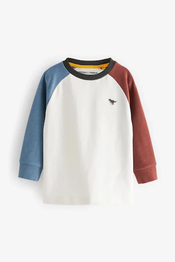 Buy White/Blue/Brown Cosy Colourblock Long Sleeve T-Shirt (3mths-7yrs) from the Next UK online shop