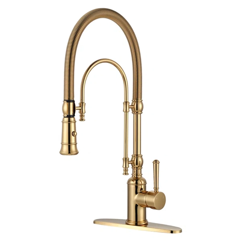 Pull Out Gooseneck High-Arc Kitchen Faucet