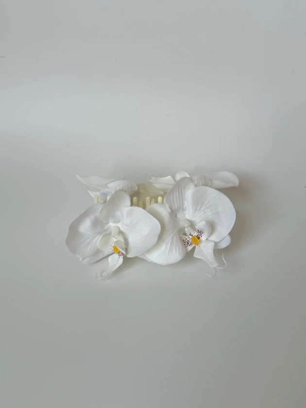 preorder white phalaenopsis orchid claw