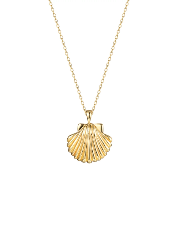 Scallop Shell Necklace | MALAKAI