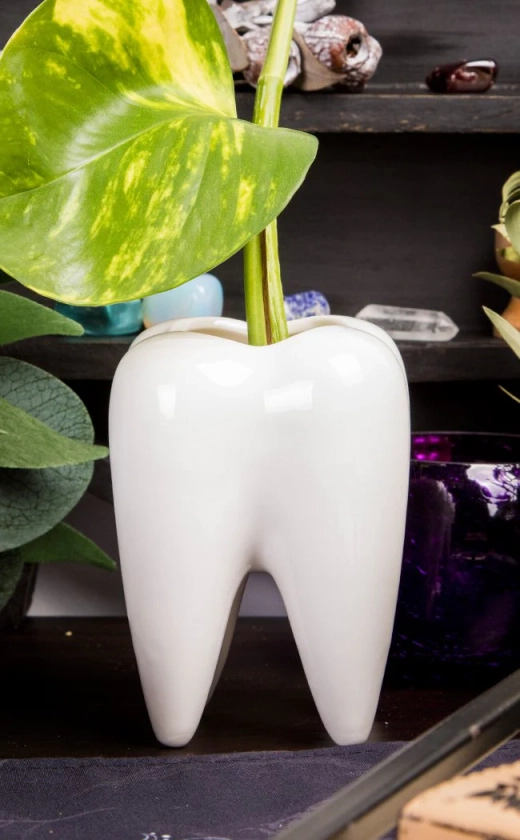 Pearly White Plant Pot