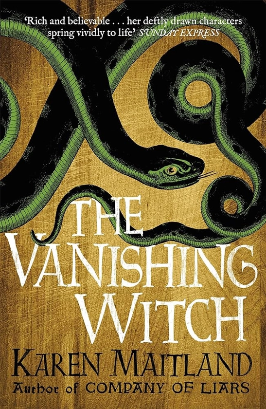 The Vanishing Witch: A dark historical tale of witchcraft and rebellion: Amazon.co.uk: Maitland, Karen: 9781472215031: Books