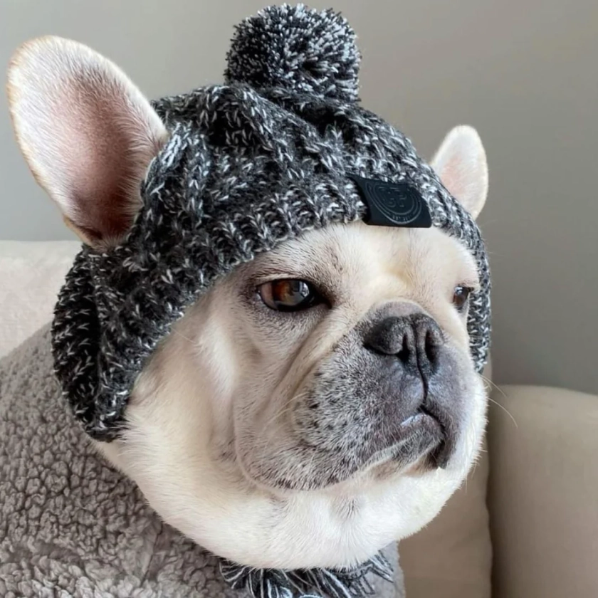 Windproof Woolen Winter Cap for French Bulldog (WS312)