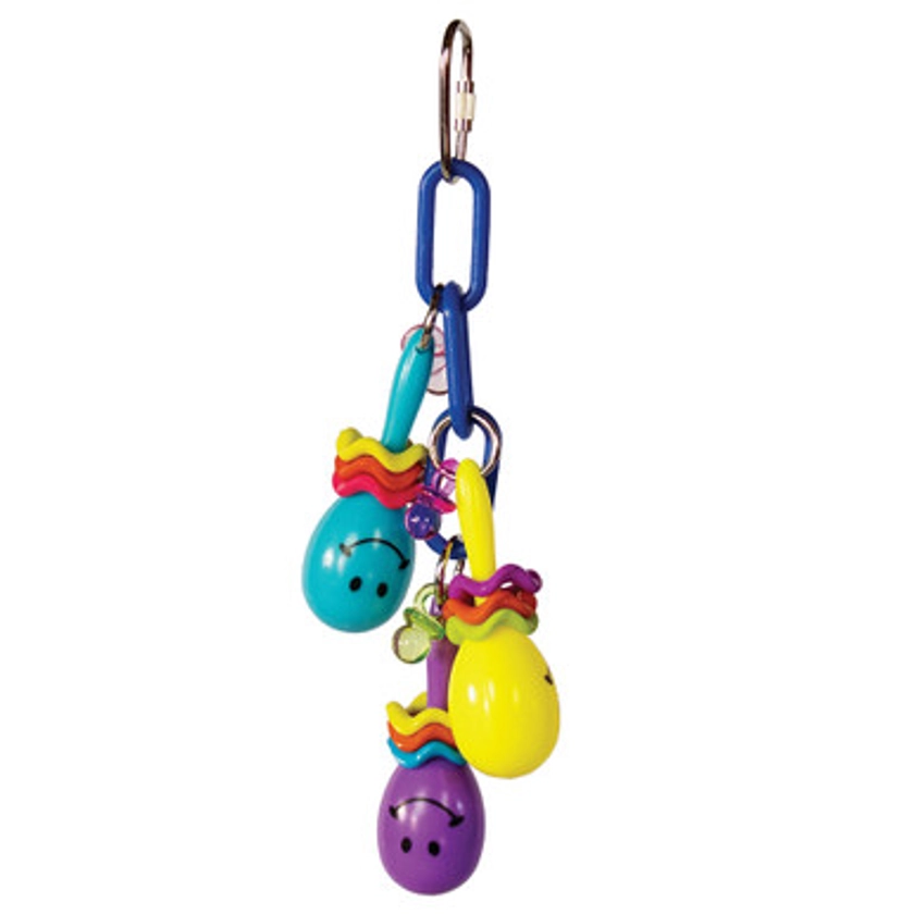 Maraca Mania Noise Making Small Parrot Toy