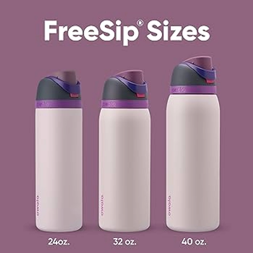 Owala FreeSip Insulated Stainless Steel Water Bottle with Straw for Sports and Travel, BPA-Free, 32oz, Dreamy Field