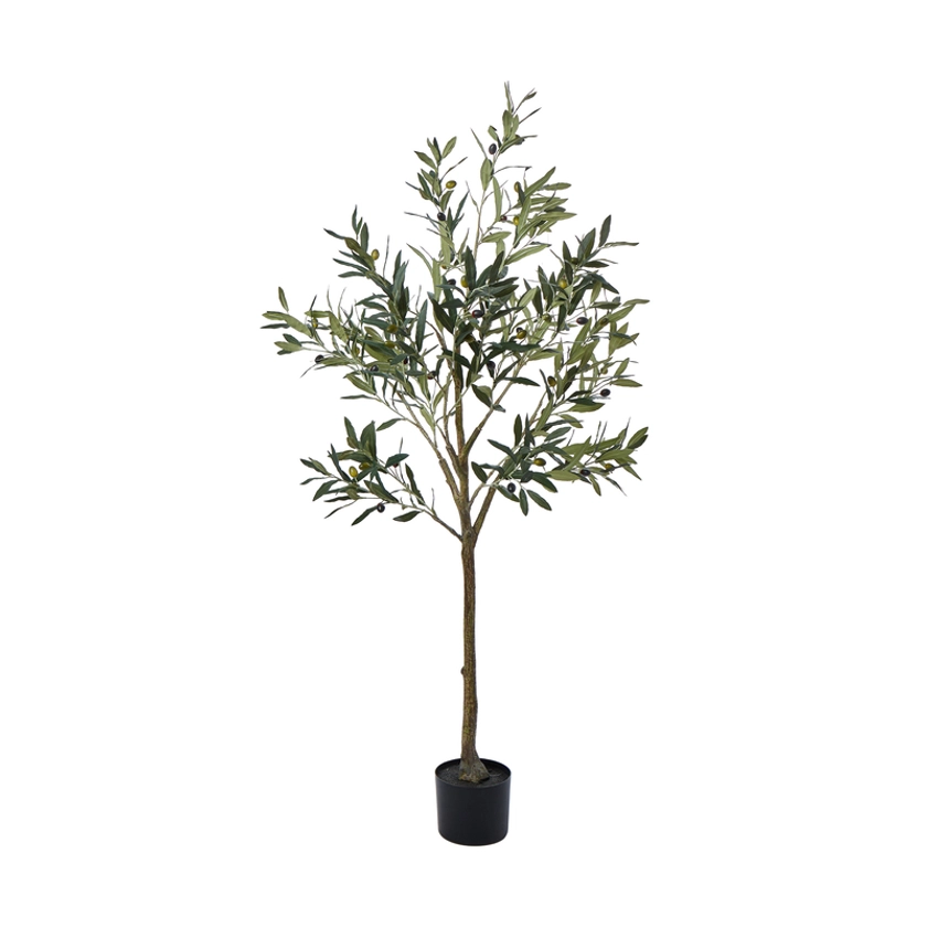 Olive Tree 60cm Black Garden Pot Green