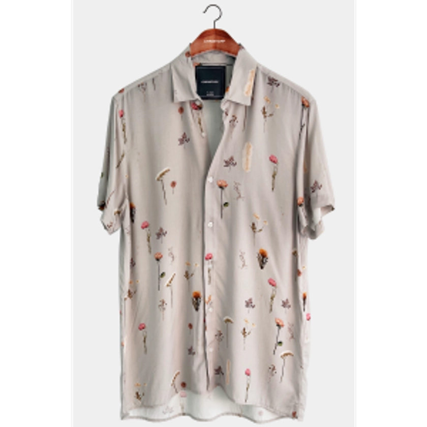 Camisa - Mini Dry Leafs | CHRISTOFF Loja online