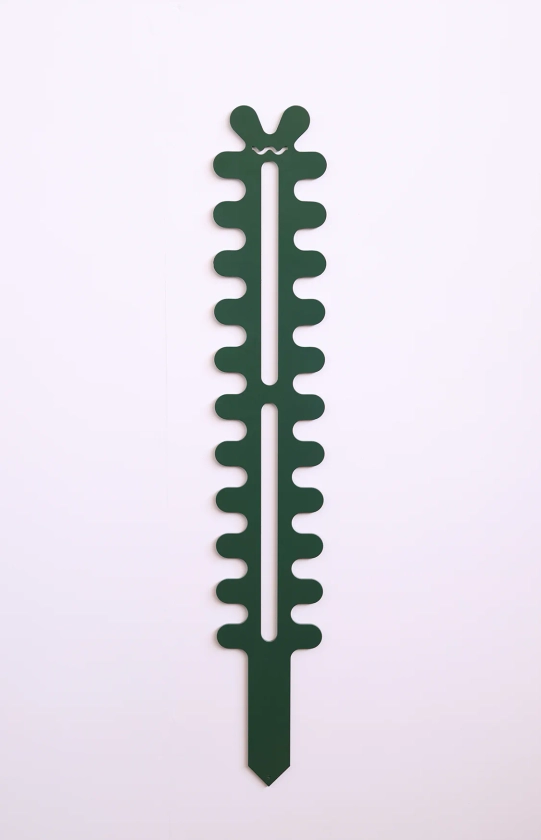 Fishbone Cactus - Large - Forest Green