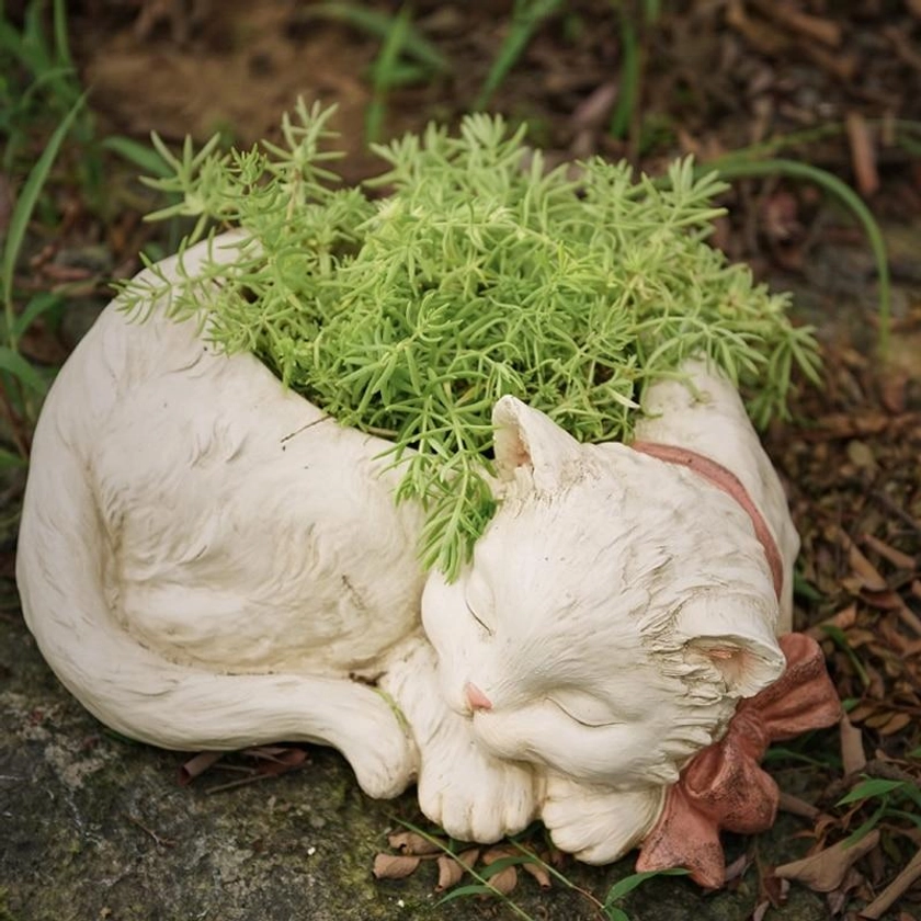 Sleeping Cat Flower Pot