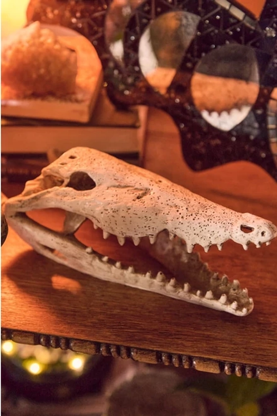 Crocodile Resin Skull Figurine