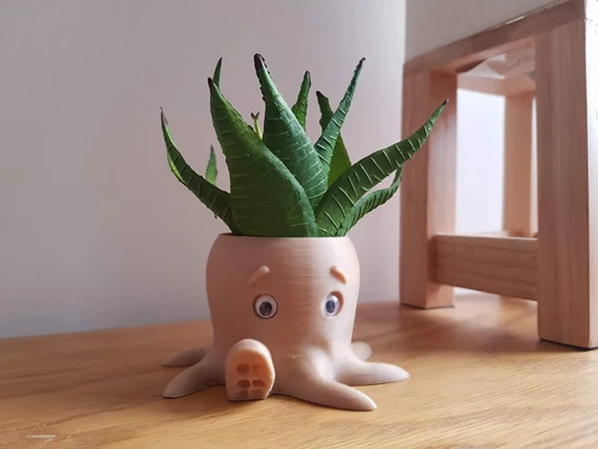 Octopus Planter | Animal Planter | Cute Planter | Indoor Planter | Cactus Planter | Desk Planter| Gift Planter| Plant Pot| Succulent Planter