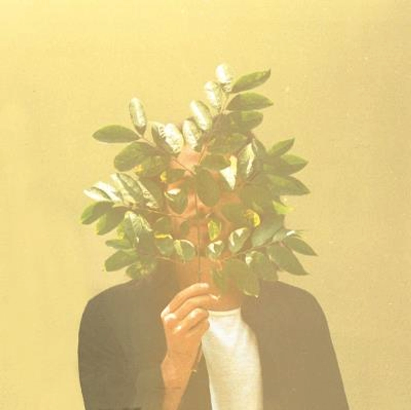 French Kiwi Juice Double Vinyle