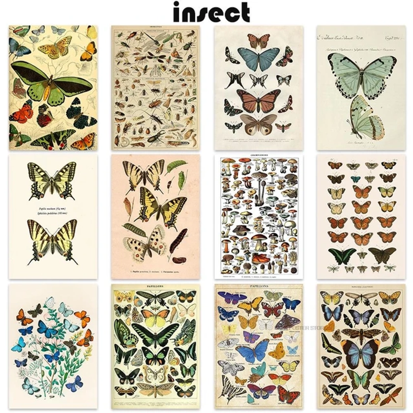 Botanical Educational Poster Butterfly Insect Poster Living Room Posters Fruit Birds Fish Animal Posters Bedroom Cafe Painting - AliExpress