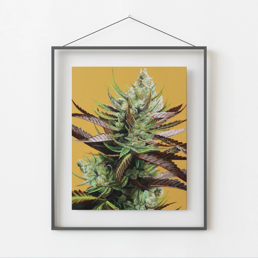 Super Lemon Haze 8x10 Print