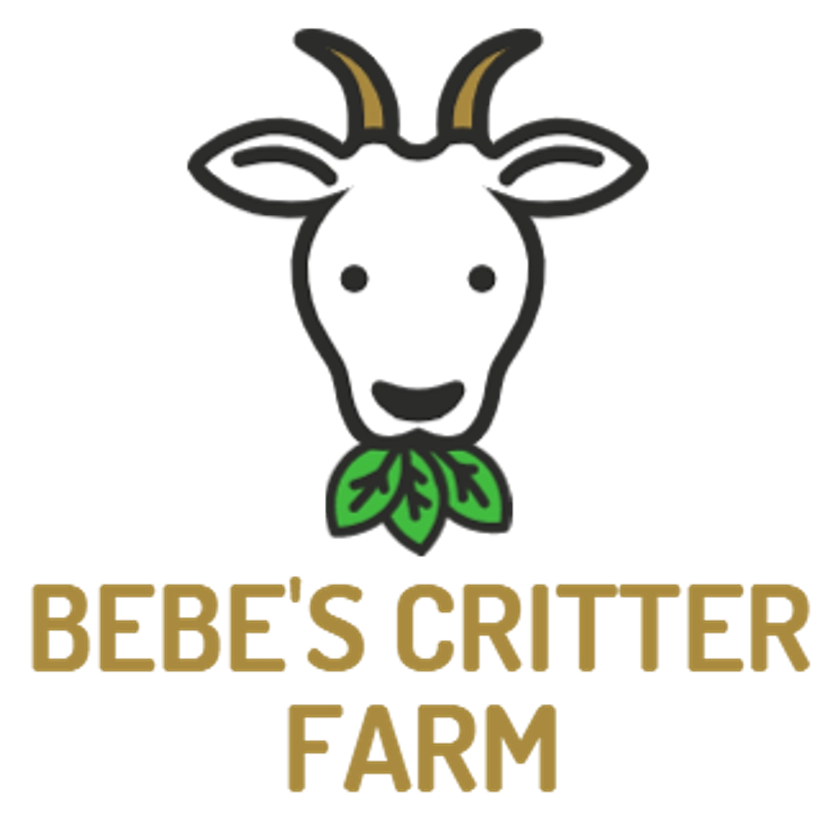 BeBe's Critter Farm - an Nigerian Dwarf Goats farm located in Sewickley, Pennsylvania owned by Barbara & Clem Steinour.