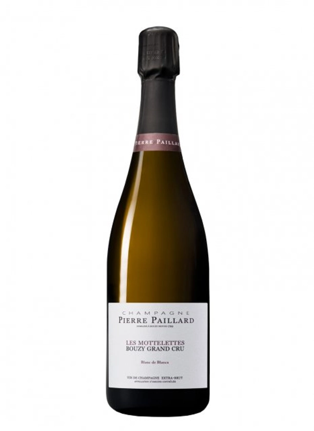 Champagne Pierre Paillard - Mottelettes 2018 - Bouteille 75CL