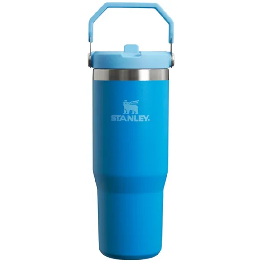 Stanley IceFlow Straw Tumbler - 30 fl. oz. | REI Co-op