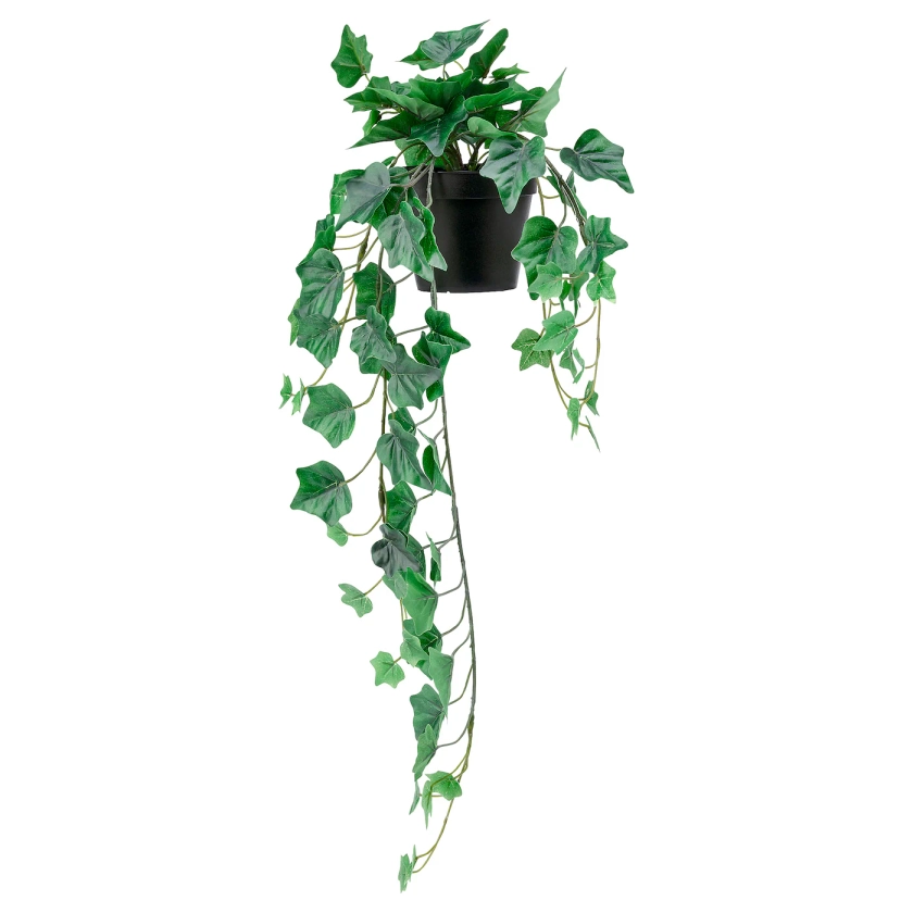 FEJKA Artificial potted plant, in/outdoor/hanging Ivy, 12 cm - IKEA