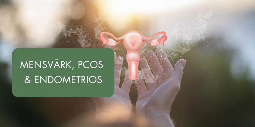 Mensvärk, PCOS och Endometrios, Lüning Academy