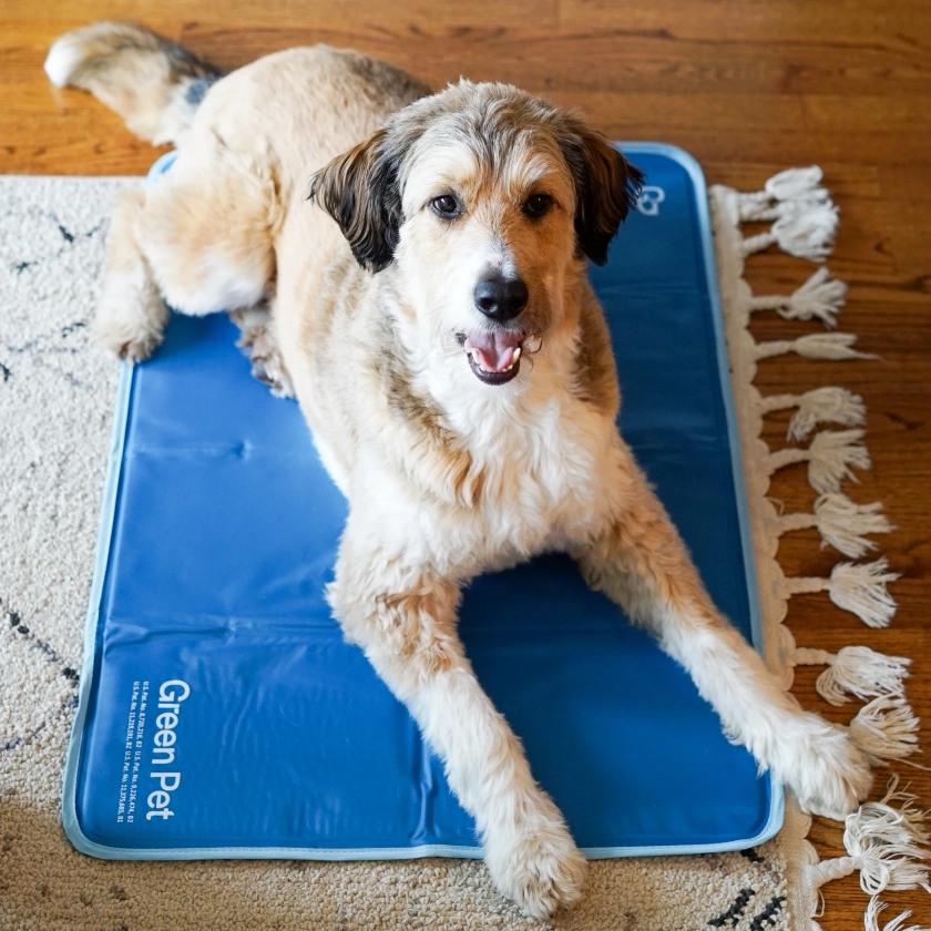 Cool Pet Pads | Pet Cooling Mat and Beds