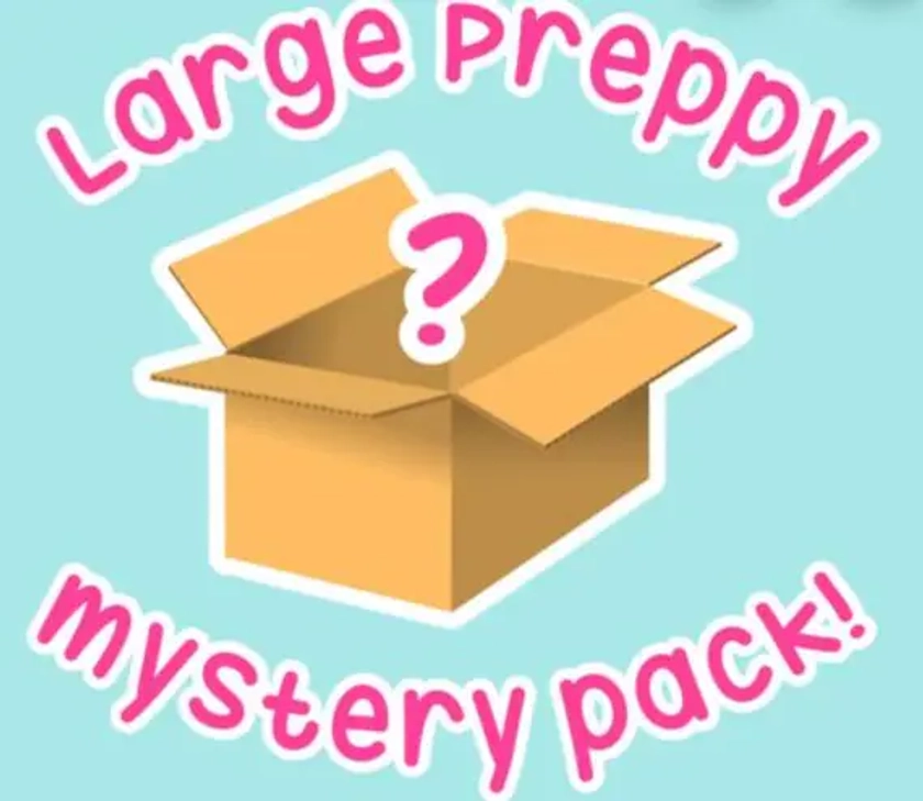 Large preppy mystery box