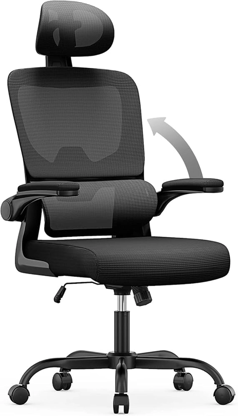 naspaluro Office Desk Chair, Ergonomic Office Chair Computer Chair with Back Support and Headrest, High Back Flip-up Armrests Mesh Chair, PC Chair-Black