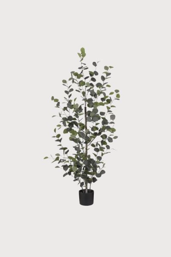 Eucalyptus plante artificielle - Vert - Home All | H&M FR