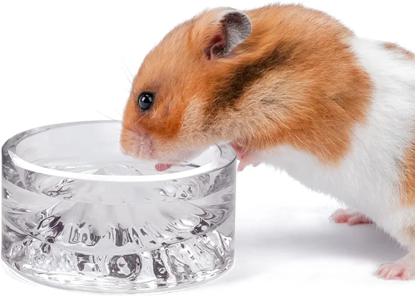 Niteangel Hamster Feeding & Water Bowls- Mount Fuji Series Glass Drinking Bowls for Dwarf Syrian Hamsters Gerbils Mice Rats or Other Similar-Sized Small Pets (White)