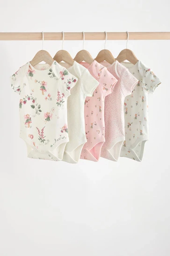 Buy Pink & White Fairy Baby Short Sleeve 100% Cotton Bodysuits 5 Pack from the Next UK online shop