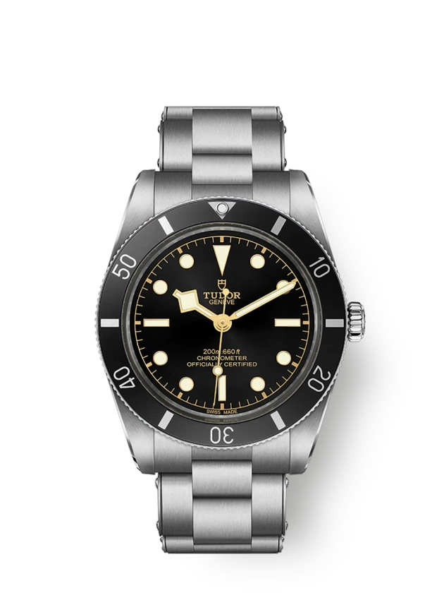 Montre TUDOR Black Bay 54 - m79000n-0001 | Montres TUDOR