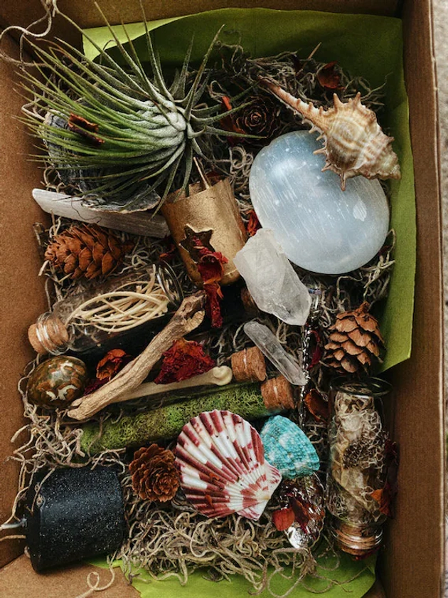 Mini-Large SWAMP WITCH Mystery Box - Witchcraft Supplies, Witch Gifts, Crystals, Bones, Oddities, Southern Gothic, Halloween