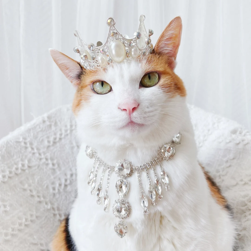 Cat Dog Silver Pearl Queen Princess Tiara Crown Crystal Necklace Hat Wedding Halloween Costume Christmas Birthday Gifts for Pet Tiktok - Etsy UK
