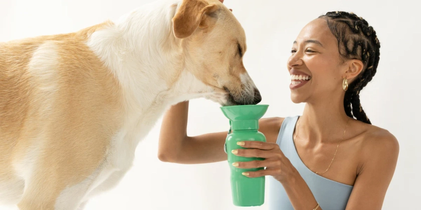 Dog Travel Bottles