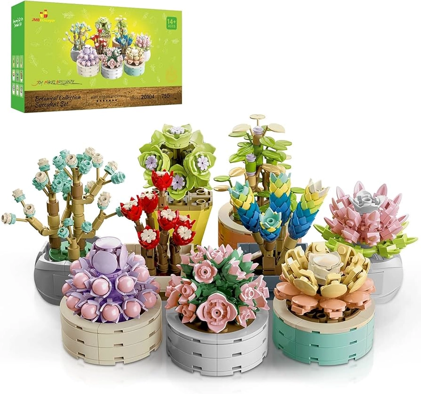 Amazon.com: JMBricklayer Succulent Flowers Botanical Collection Building Set, Plants Office Home Decor Bonsai, Creative Toys Building Project for Adults, Mother's Day Birthday Gifts for Girls Women(750 Pieces) : Toys & Games