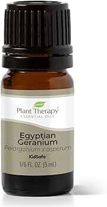 Plant Therapy Egyptian Geranium Essential Oil 100% Pure, Undiluted, Natural Aromatherapy, Therapeutic Grade 5 mL (1/6 oz)