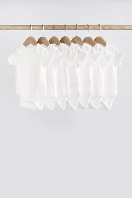 Buy White Essential 7 Pack Baby Short Sleeve Bodysuits from the Next UK online shop