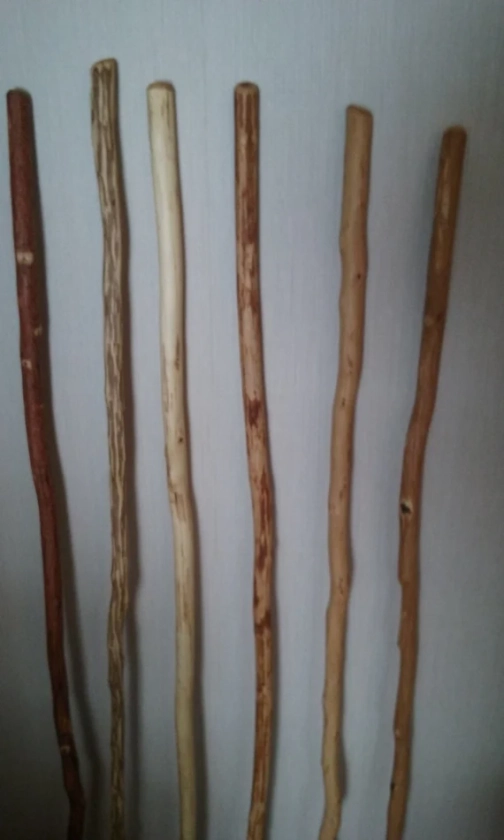 Walking Sticks