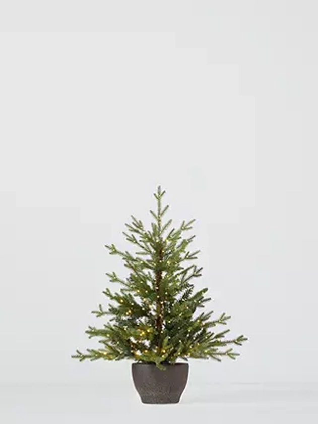 John Lewis Cotswold Potted Pre-lit Christmas Tree, 3ft